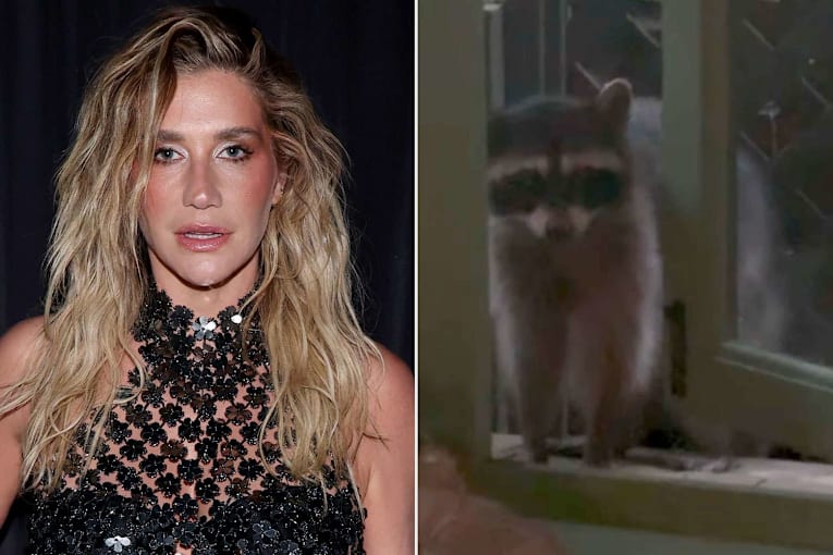 Kesha unsuccessfully attempts to scare a raccoon out of her home: ‘I guess you win’