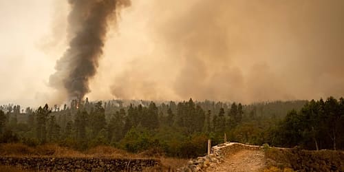 Spanien-Waldbrände 2026: aktuelle Zahlen