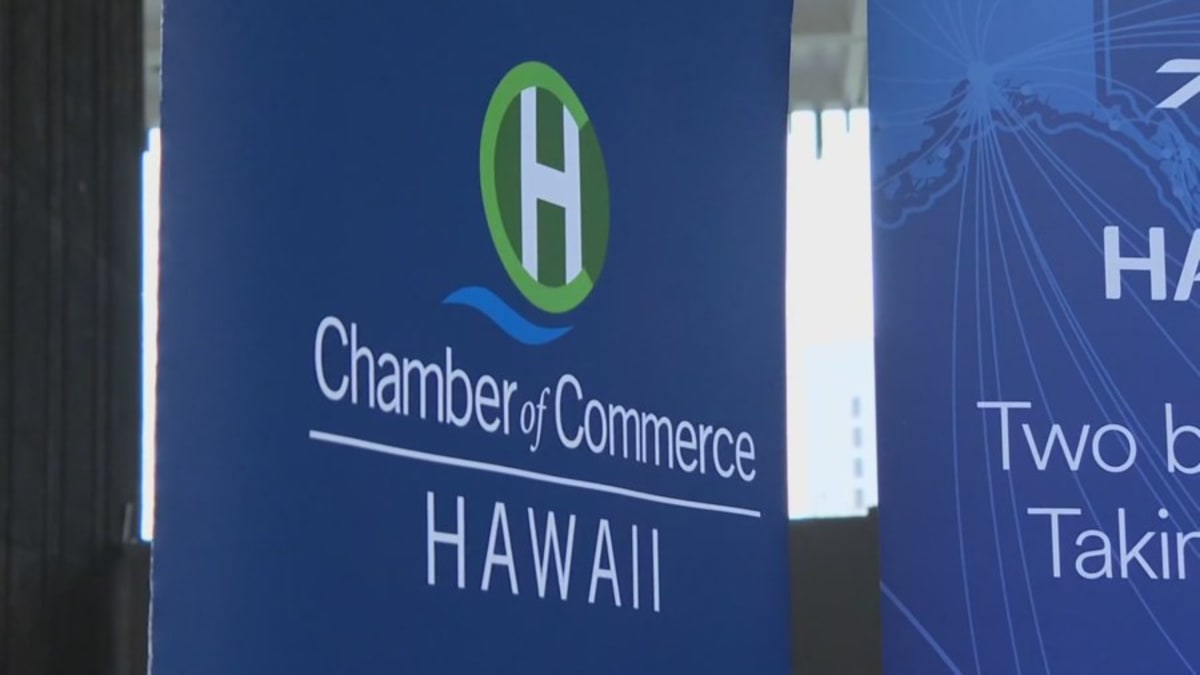 Chamber of Commerce Hawaii helps small businesses navigate the power of A.I.
