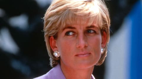 Princess Diana 'never wanted' her divorce from Prince Charles — and the surprising request Prince Harry made afterward