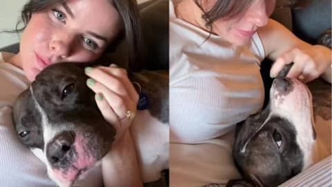 Shelter dog has known foster mom for 1 week but loves her like it&rsquo;s been a lifetime