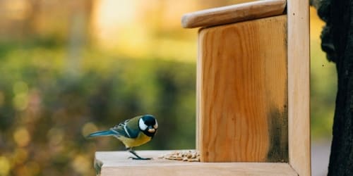 This stress-relieving sound may ease tension in 10 minutes &mdash; and it&rsquo;s free