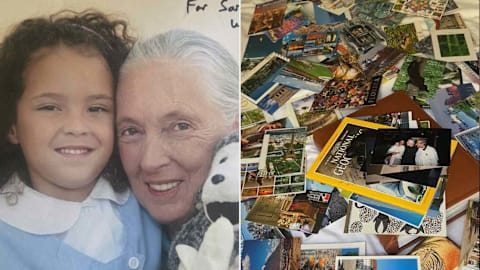 Jane Goodall’s goddaughter shares a rare look at their relationship through hundreds of handwritten postcards
