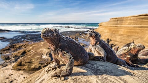 I took my family on a Galapagos Islands cruise and it changed how I feel about wildlife
