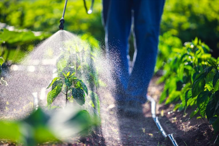 6 children in a wealthy suburb developed rare cancers. Authorities are eyeing pesticides