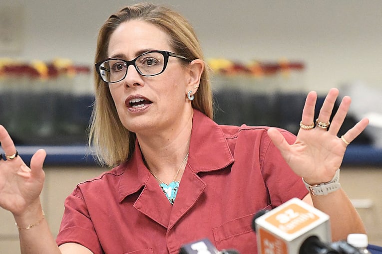 Ex-senator admits to steamy affair with married bodyguard while in office 