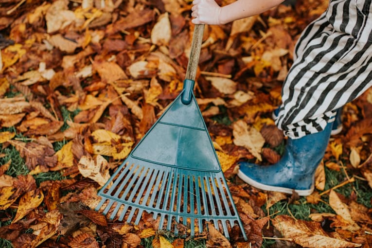 Skip the rake: This lightweight cordless leaf blower is on sale for under $90