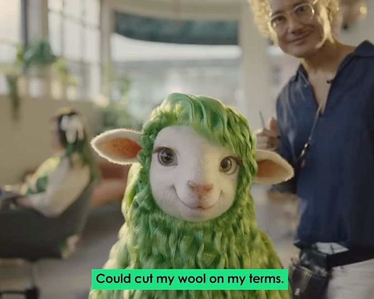 ‘Like, really, really shocked': why are so many people riffing on this sheep's sex appeal?