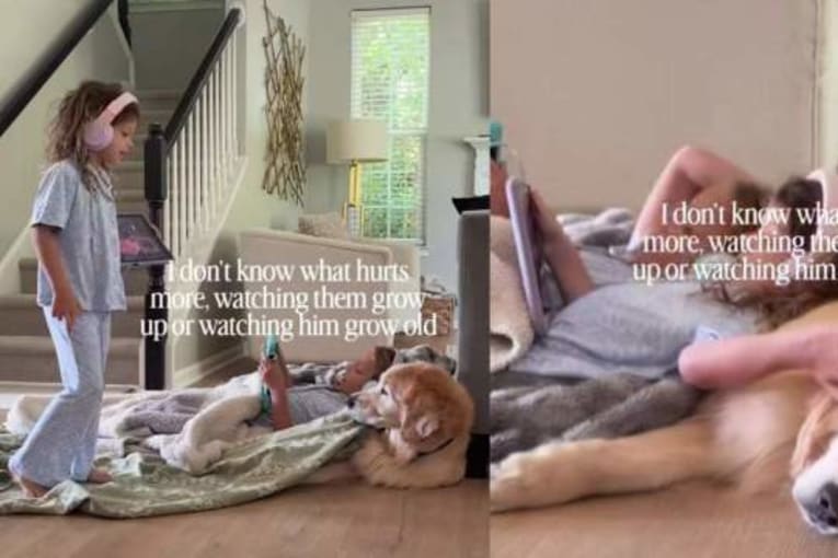 2 sisters use golden retriever as their personal pillow and he looks like it is all he ever wanted
