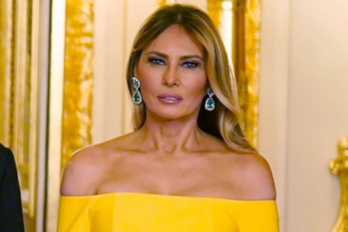 melania gold dress Trump's creates optical illusion – but what colour do you see? Garment is intentionally sheer