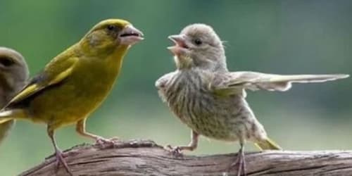 106 times nature decided to show off and people were lucky enough to capture it