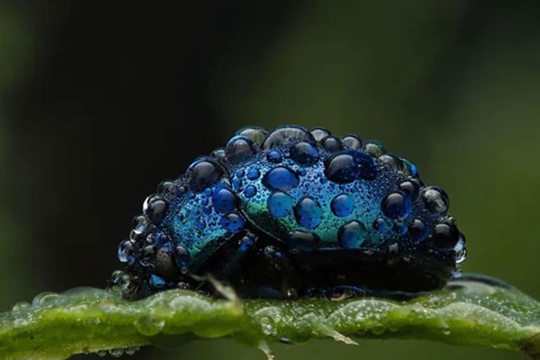 51 times nature delivered wholesome moments