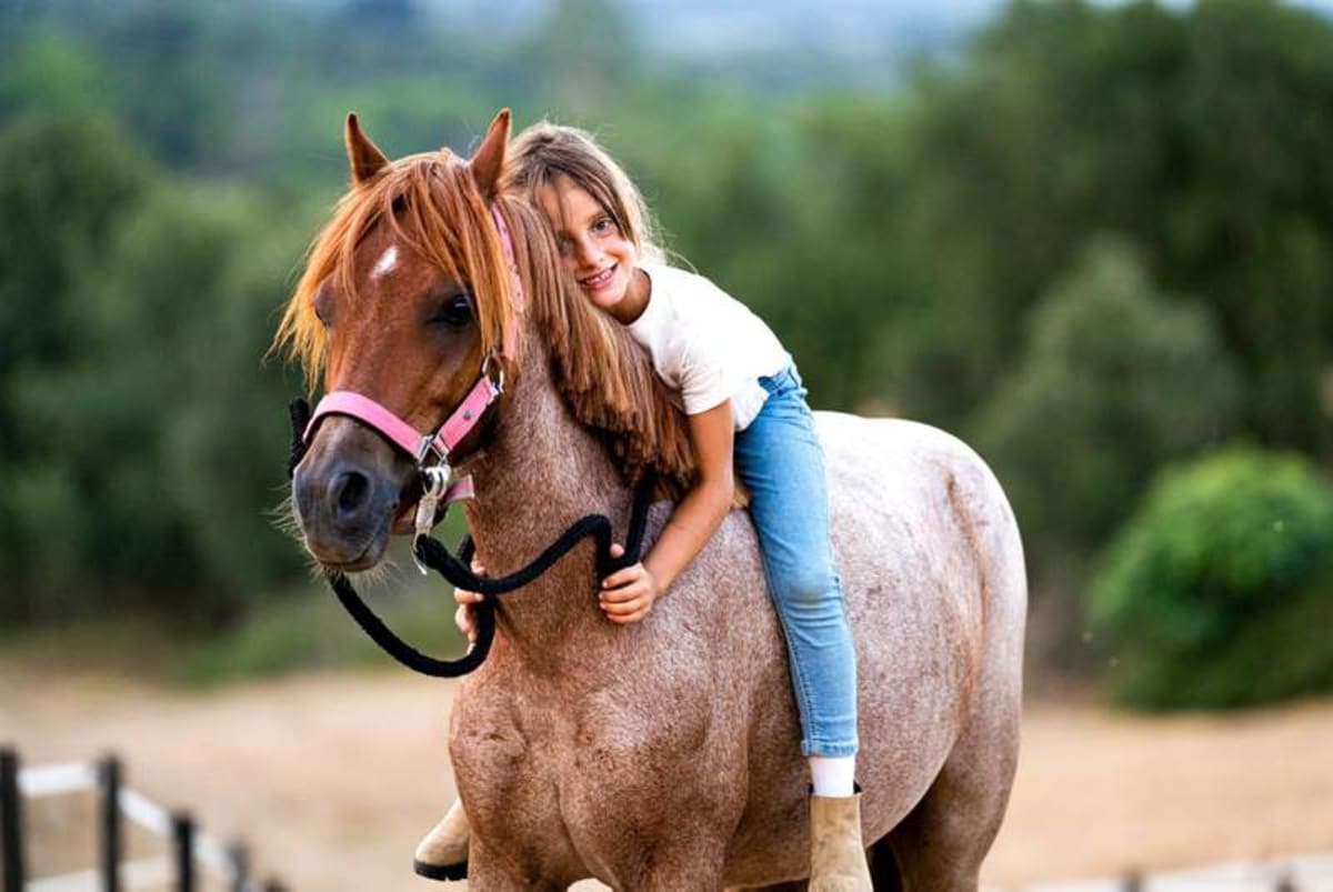 Horses have a surprising effect on stress in autistic children - AOL