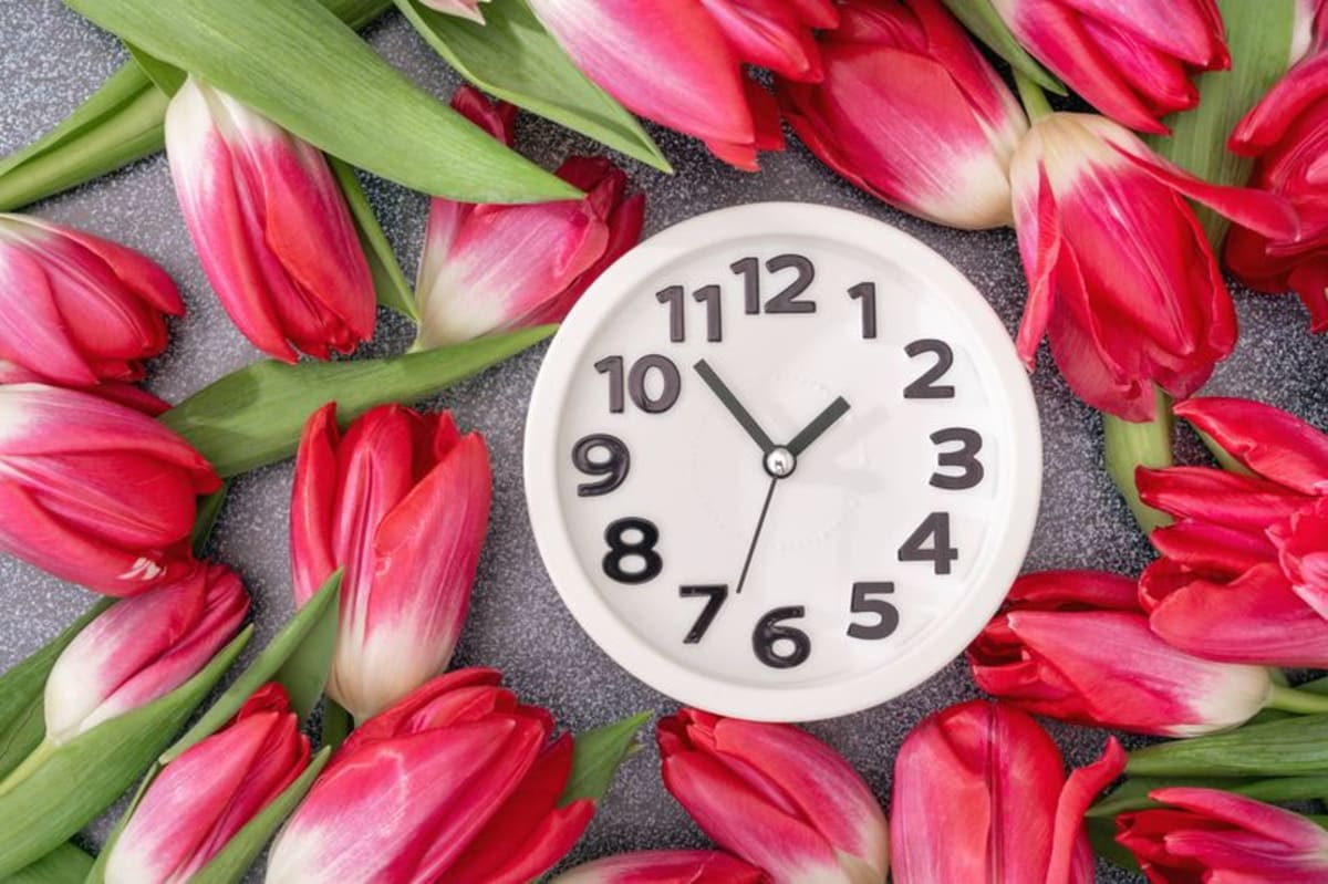 Daylight Savings Time 2026: When clocks spring forward in March - AOL