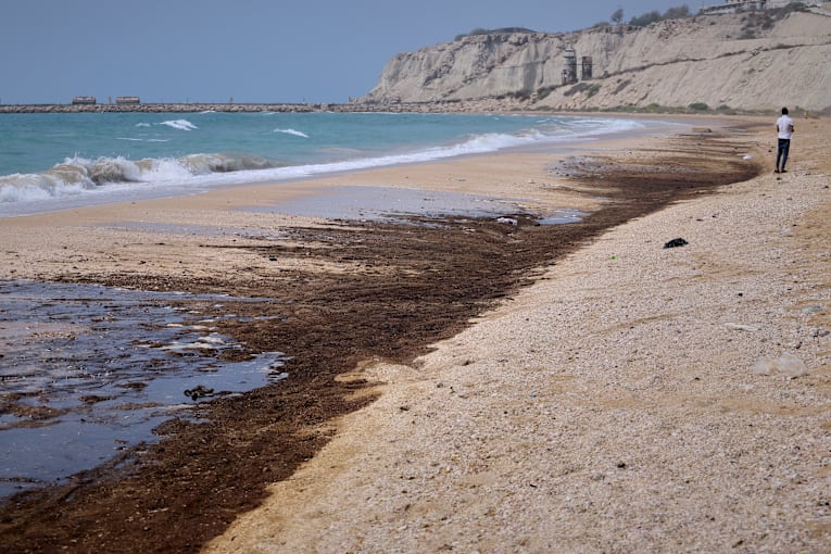 Ship attacked during Strait of Hormuz transit and other news from the Middle East