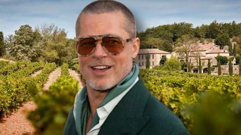 Brad Pitt's winery business 'blamed for his return to drinking'