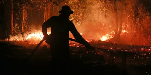 Nearly half a million people could die from El Nino heat in next 6 months, study says