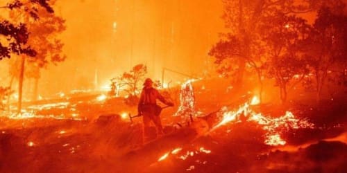 New report details imminent danger to humanity as 17 scientists warn of mass extinction event