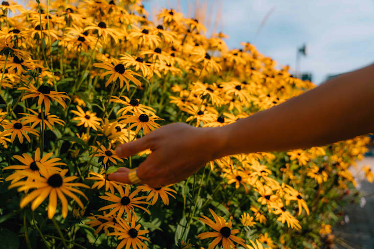 How romanticizing everyday moments can make you happier, according to psychologists