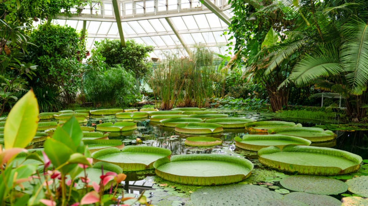 5 Of The Most Beautiful Botanical Gardens In The US, According To ...