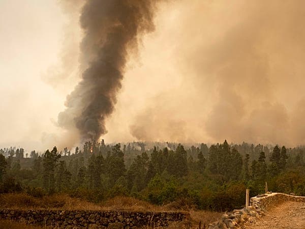 Spanien-Waldbrände 2026: aktuelle Zahlen