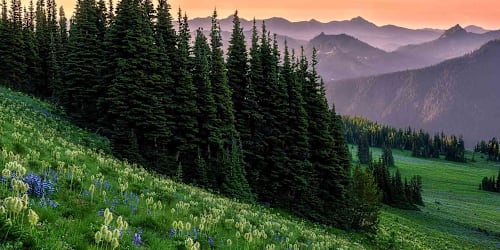 12 most beautiful national parks in the US, from the Great Smoky Mountains to Yellowstone