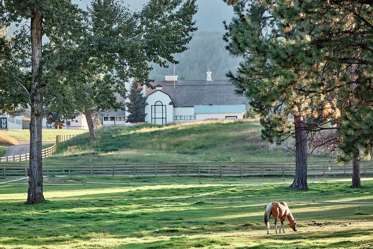 Stay at the Real Dutton Ranch from Yellowstone for $1,400 a Night - AOL