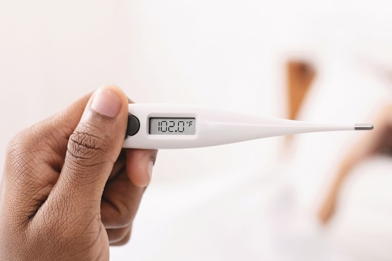 Cases of &lsquo;breakbone fever&rsquo; spreading locally in Florida for first time in 15 years
