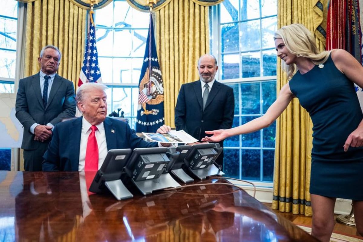 Fox News contributor mocks Natalie Harp and Donald Trump 'leak' with ...
