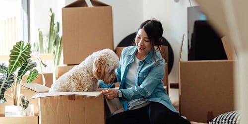 Americans are moving to these US cities in 2026 &mdash; and 2 coastal destinations top the list