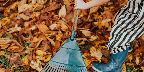This is the fastest and easiest way to clean up your yard this fall &mdash; no matter your age