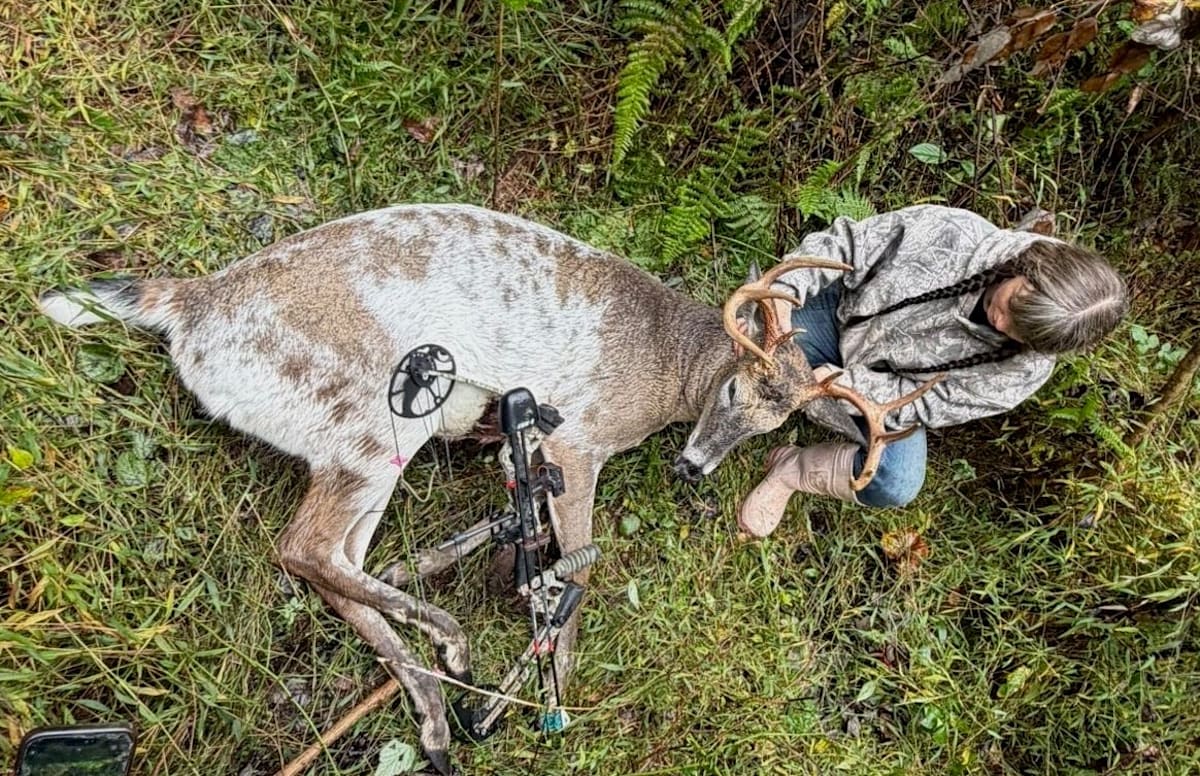 Pennsylvania archer harvests rare piebald buck and plans unique mount