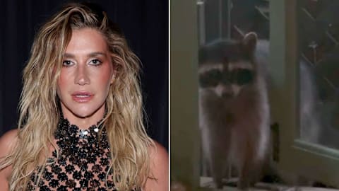 Kesha unsuccessfully attempts to scare a raccoon out of her home: &lsquo;I guess you win&rsquo;
