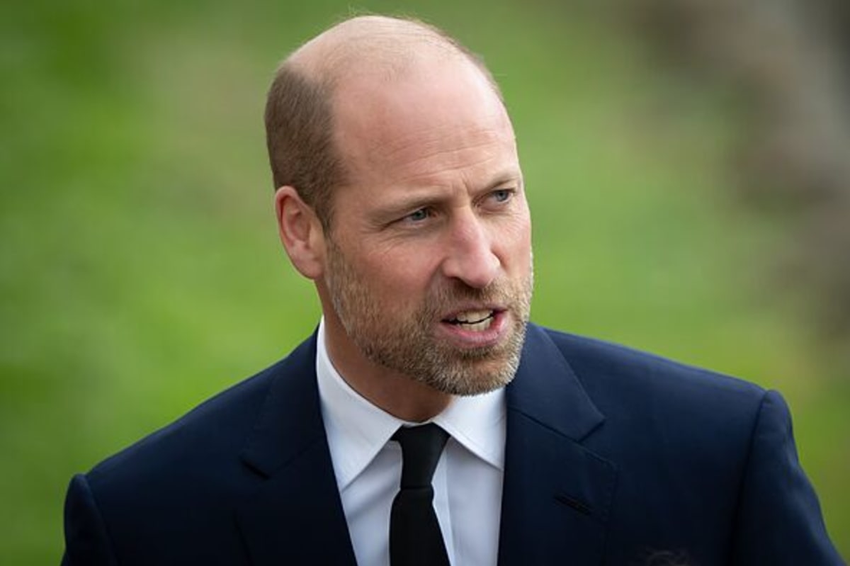 Should Prince William make more TV appearances?