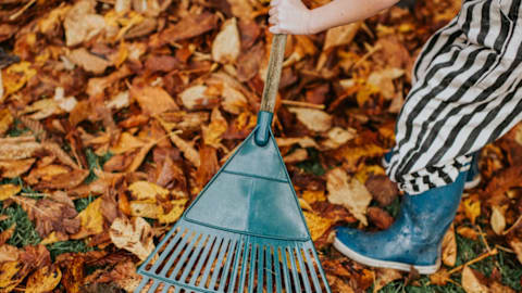 Skip the rake: This lightweight cordless leaf blower is on sale for under $90