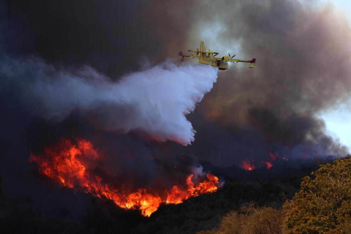 Botched Altadena evacuations, dysfunction in Pacific Palisades: Long-awaited fire investigation identifies missteps