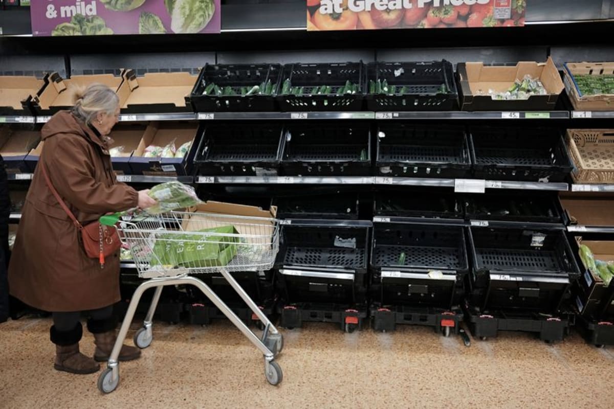 Photo: AOL UK Experts Warn of Food Security Crisis and Urge National Storage Strategy