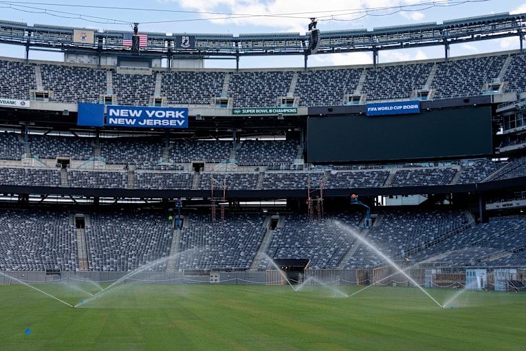 The World Cup final will be played on turf with mixed reviews. Rain might help
