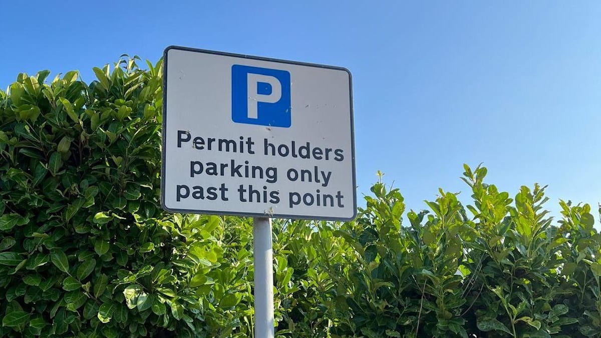 Motion calls for overhaul to parking permit rules