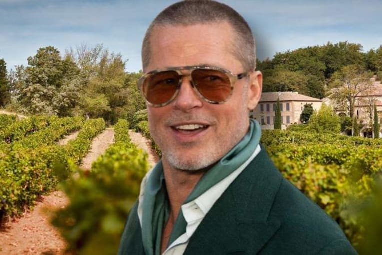 Brad Pitt's winery business 'blamed for his return to drinking'