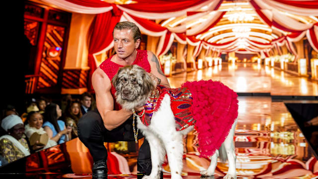 Columbus’ Cutest K9 lands New York Fashion Week feature