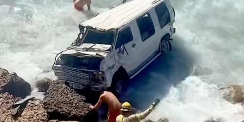 Watch dogs being rescued from the Pacific after van plunges into the surf near Malibu