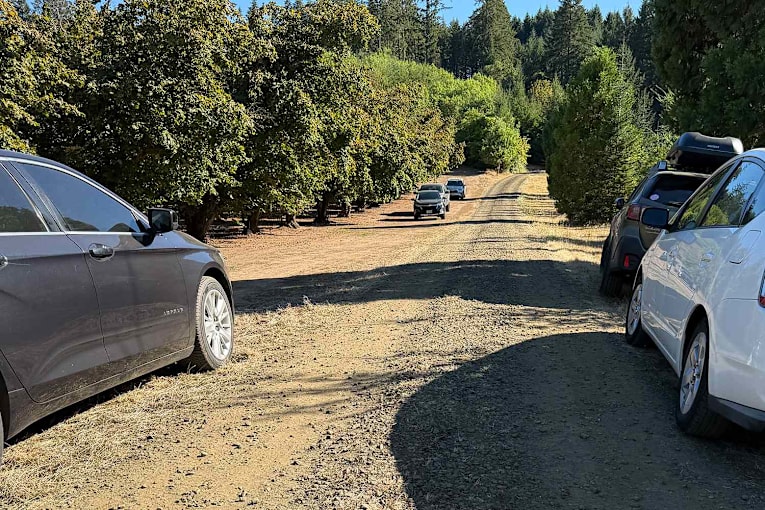 5 victims in Ore. mass killing, including suspect's girlfriend and her best friend, found with gunshot wounds: Police