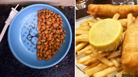 15 weird but interesting photos of food that caught the internet’s attention