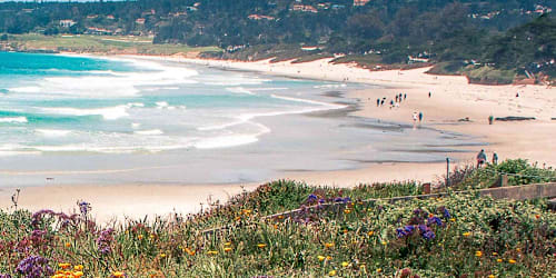 This US beach has whitest sand in nation, ranks No. 14 in world