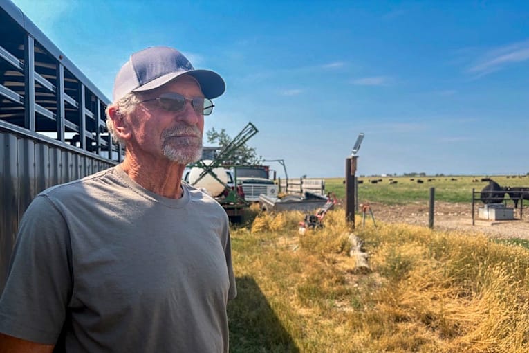 Why cattle ranchers are fuming at Trump