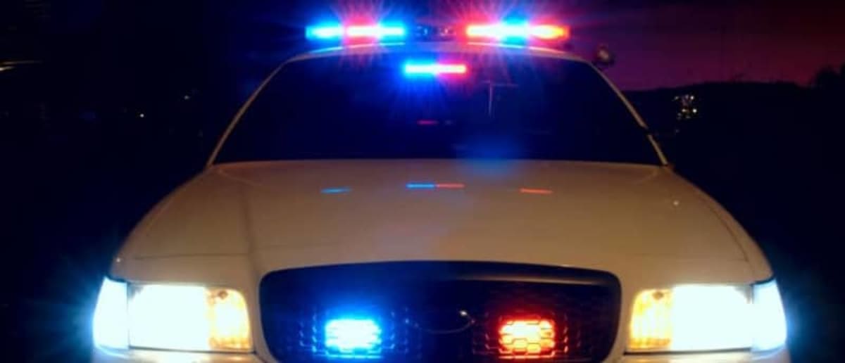 Police Track Down Woman Accused Of Just Robbing A Bank. Suspect Turns ...