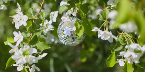 Why gardeners are hanging mini disco balls in their gardens &mdash; and the clever reason they work