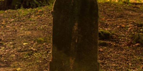 My dad died and my mom wants a DIY funeral, planning to bury him in our backyard