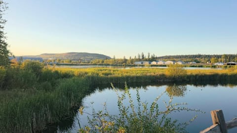Canada's Wildlife Sanctuary In British Columbia Is A Scenic Gem With An Easy Wetland Trail And Beautiful Birds